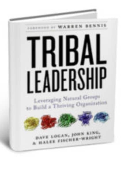 Tribal Leadership